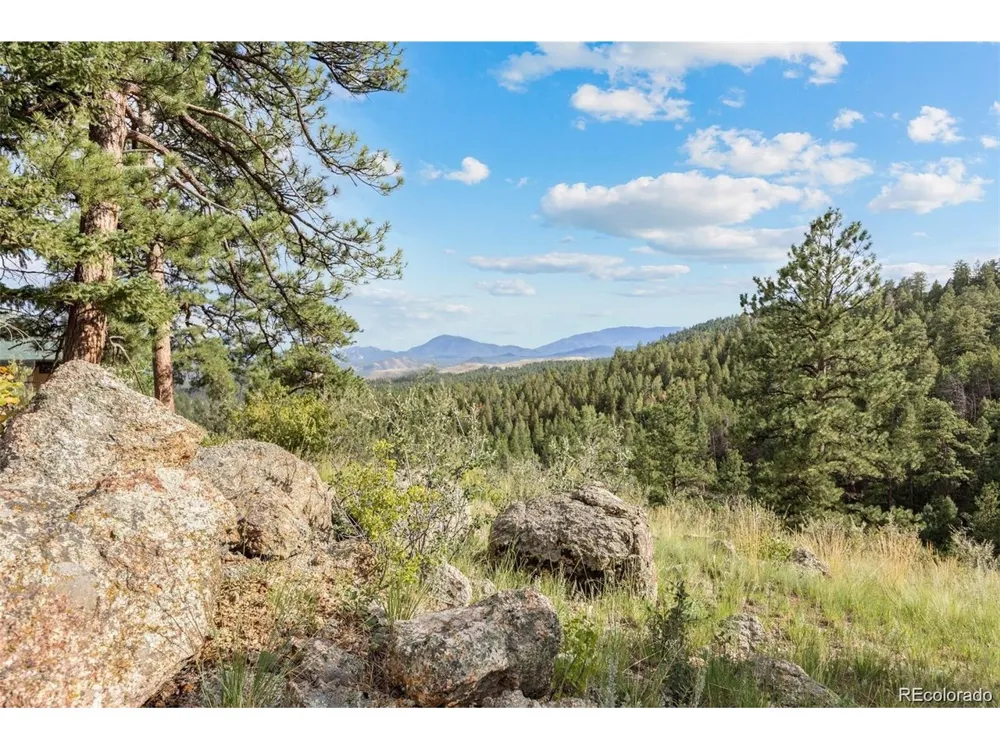13817 Gordon Court Pine, CO 80470
