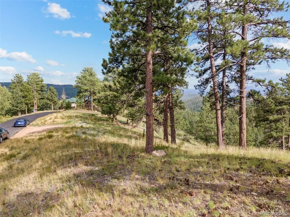 13817 Gordon Court Pine, CO 80470