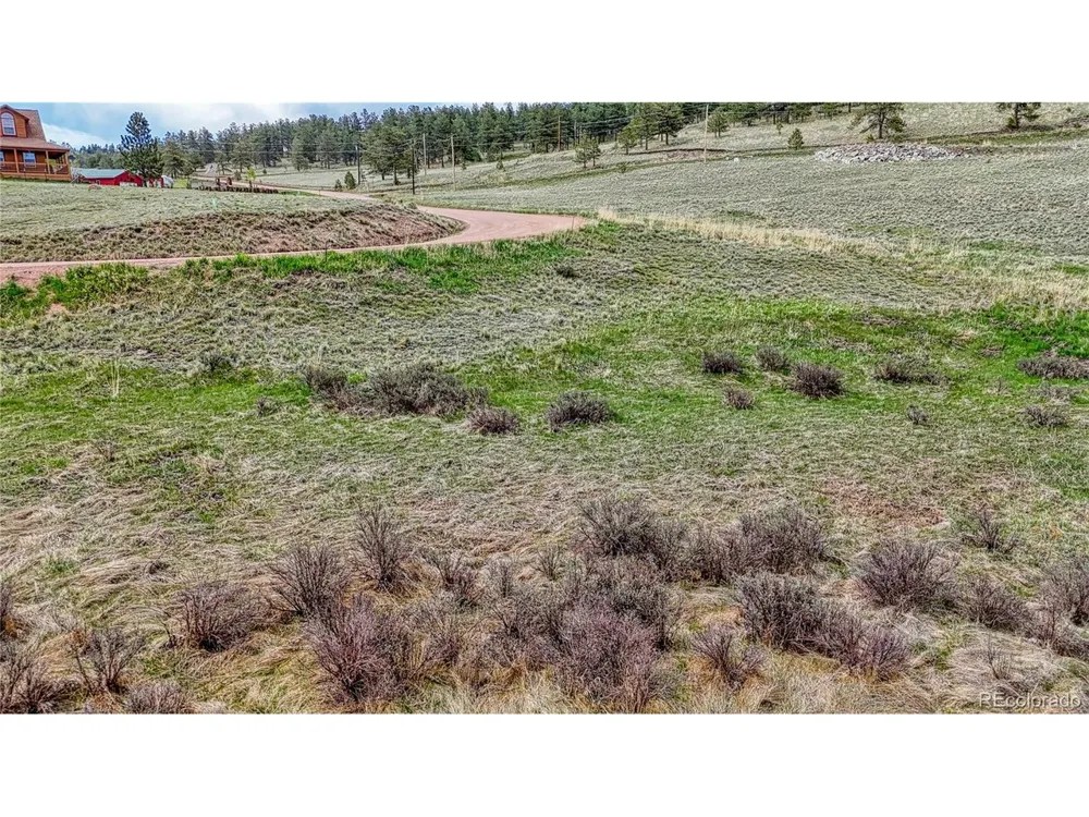 315 Empire Road Florissant, CO 80816