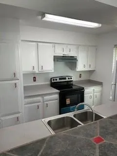 10555 Turtlewood Court #516 Houston, TX 77072
