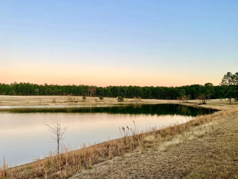38 Lakeland Ranch Drive Hillister, TX 77624