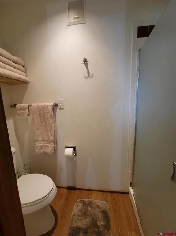 102 Valley View Drive #3171 Pagosa Springs, CO 81147