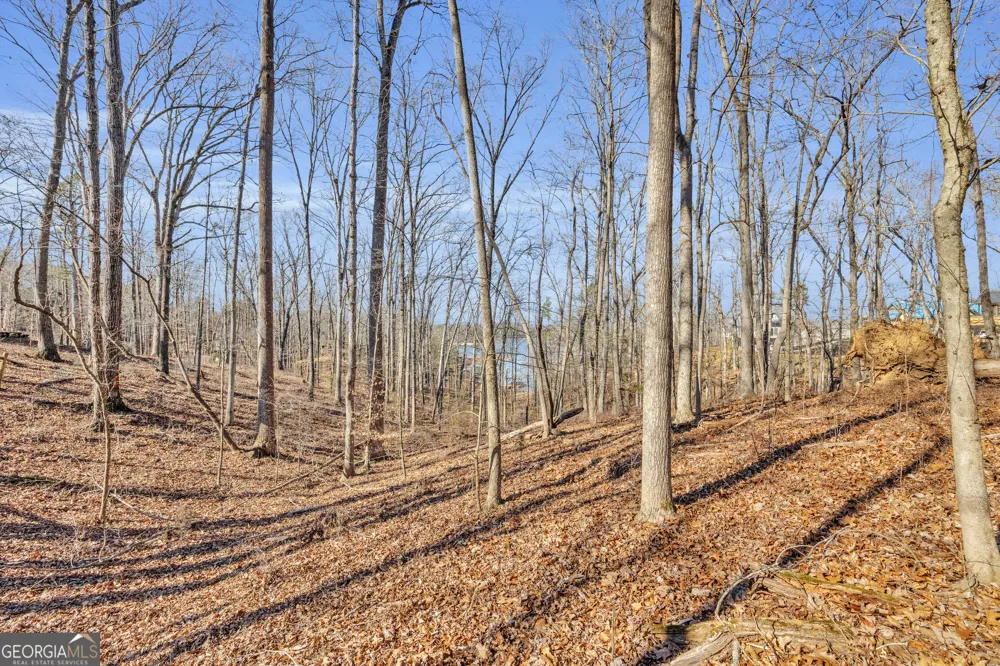 0 Wineberger RD Hartwell, GA 30643