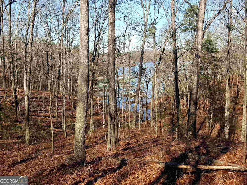 0 Wineberger RD Hartwell, GA 30643