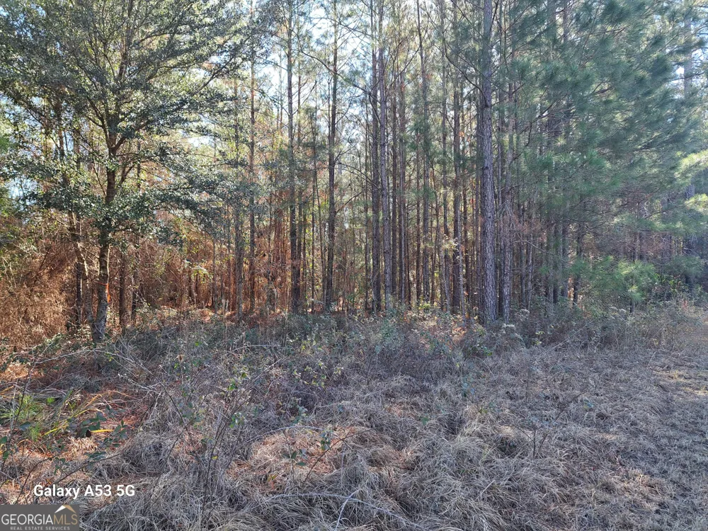 0 Shoreline DR Kingsland, GA 31548