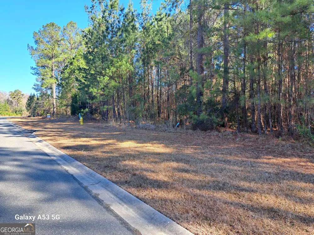0 Shoreline DR Kingsland, GA 31548