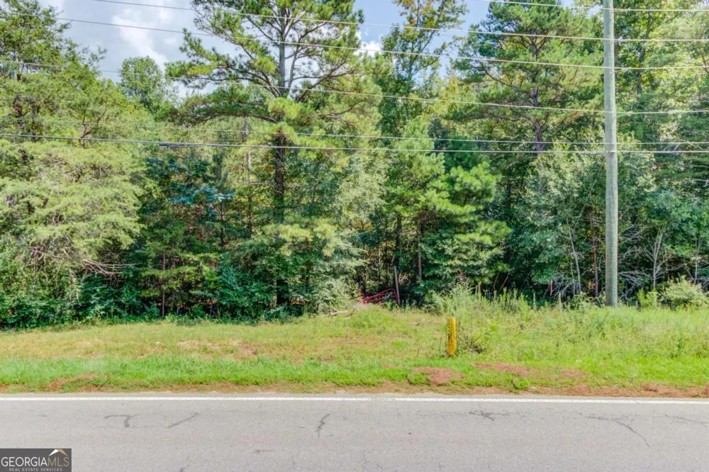7207 Spout Springs RD Flowery Branch, GA 30542