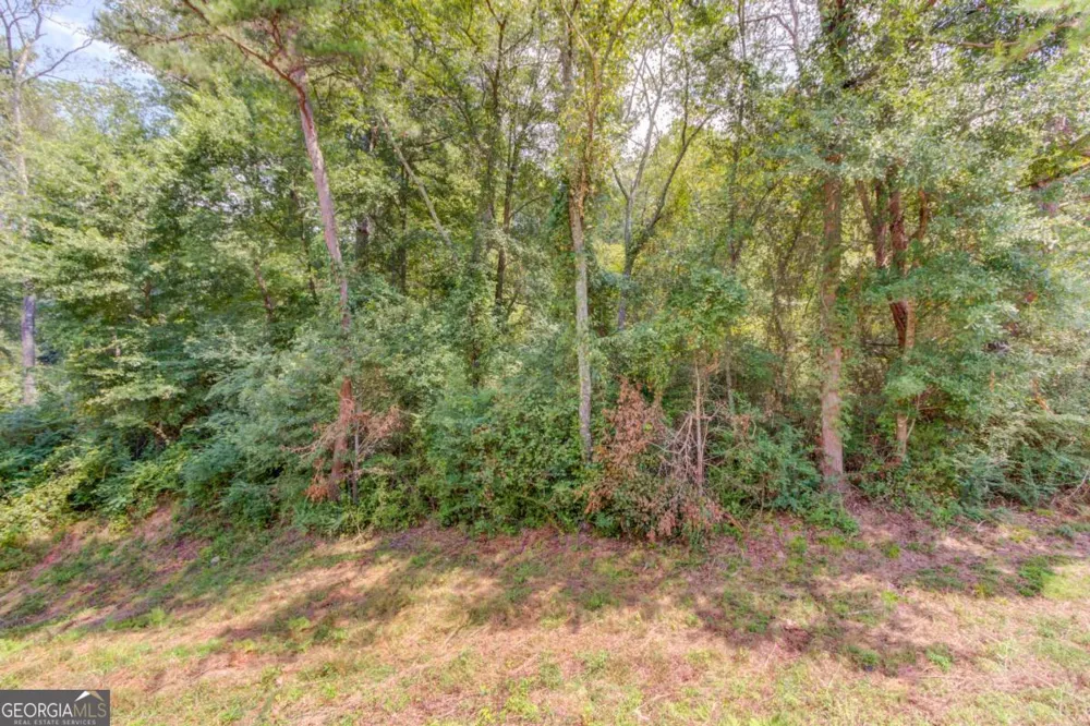 7207 Spout Springs RD Flowery Branch, GA 30542
