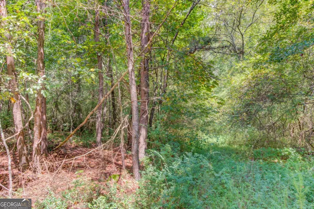 7207 Spout Springs RD Flowery Branch, GA 30542