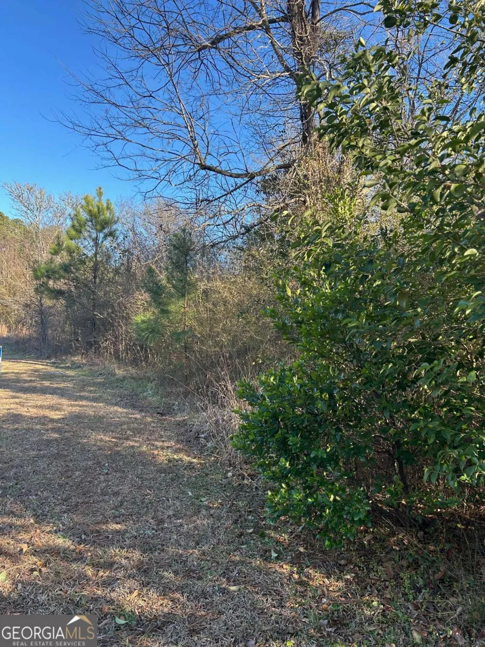 678 Dunlap RD NE Milledgeville, GA 31061