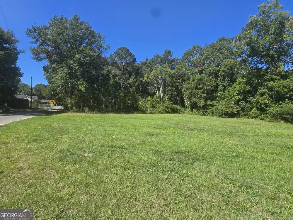 0 Eleanor DR Dublin, GA 31021