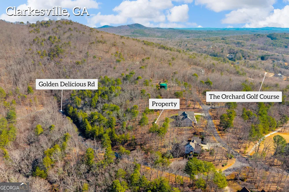 0 Golden Delicious RD Clarkesville, GA 30523