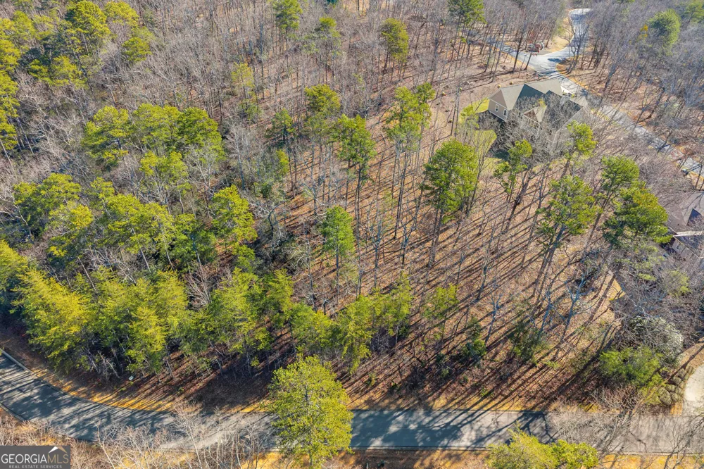 0 Golden Delicious RD Clarkesville, GA 30523