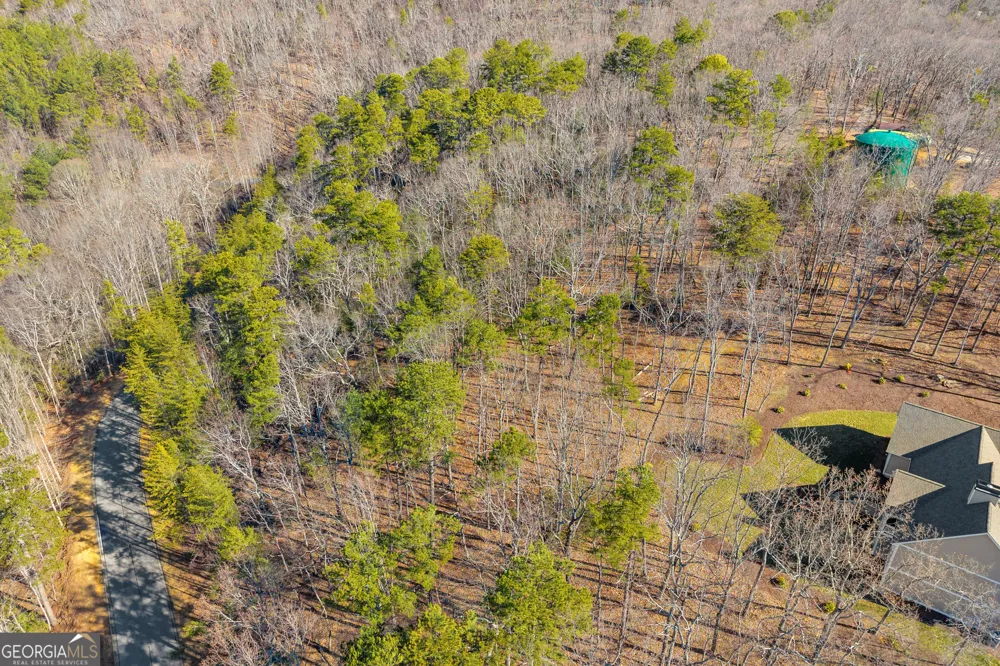 0 Golden Delicious RD Clarkesville, GA 30523