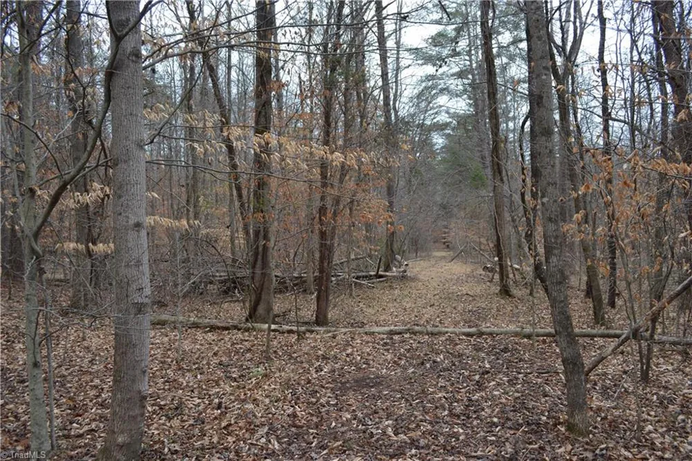 8.6 Acres Davie Lane Madison, NC 27025