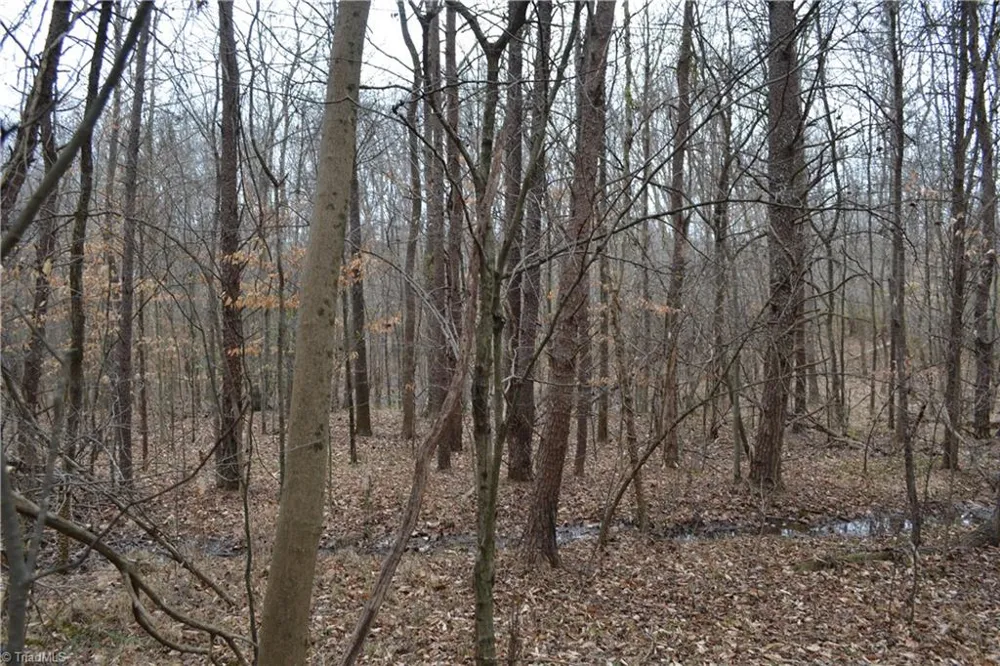 8.6 Acres Davie Lane Madison, NC 27025