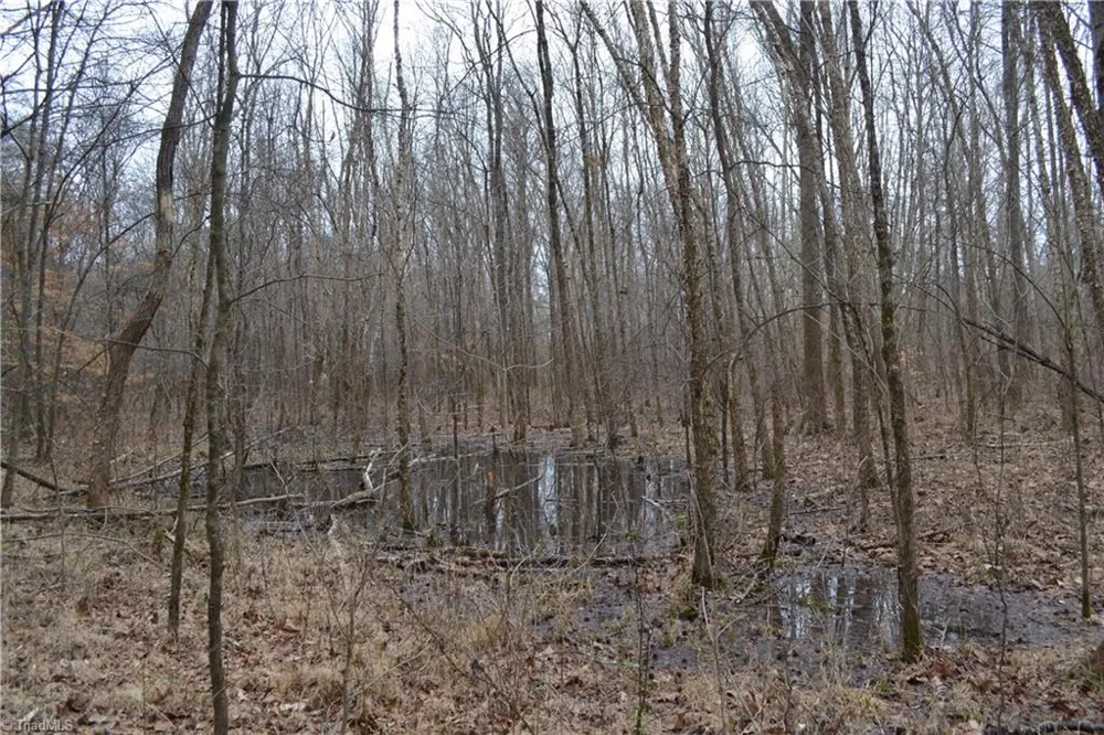 8.6 Acres Davie Lane Madison, NC 27025