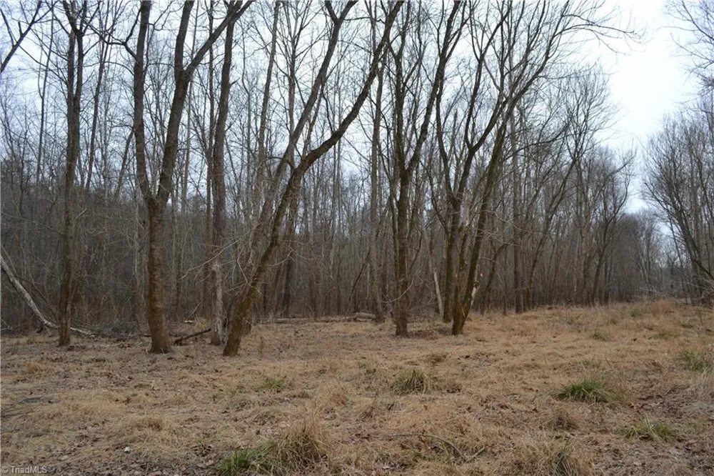 8.6 Acres Davie Lane Madison, NC 27025