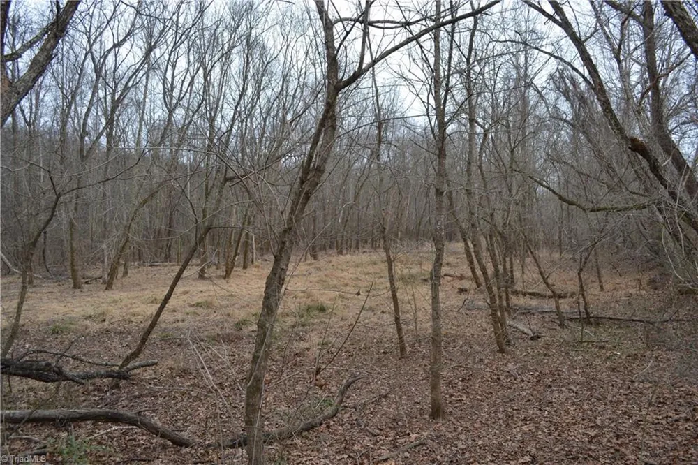 8.6 Acres Davie Lane Madison, NC 27025