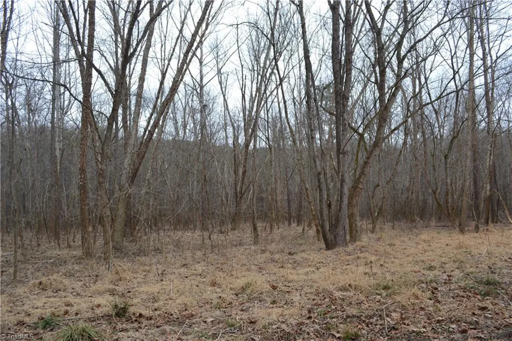 8.6 Acres Davie Lane Madison, NC 27025
