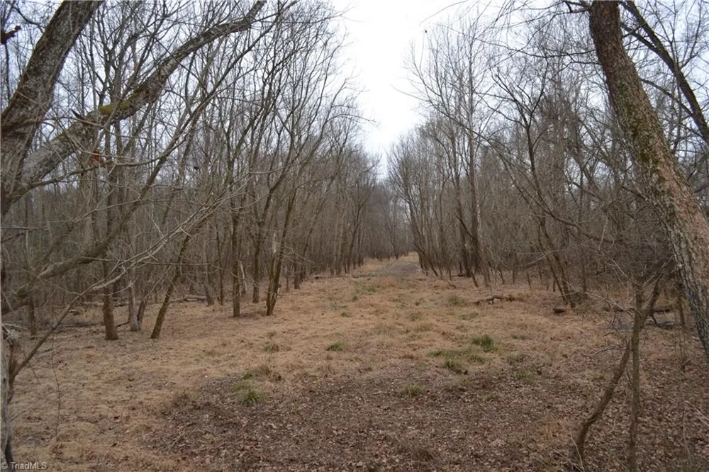 8.6 Acres Davie Lane Madison, NC 27025