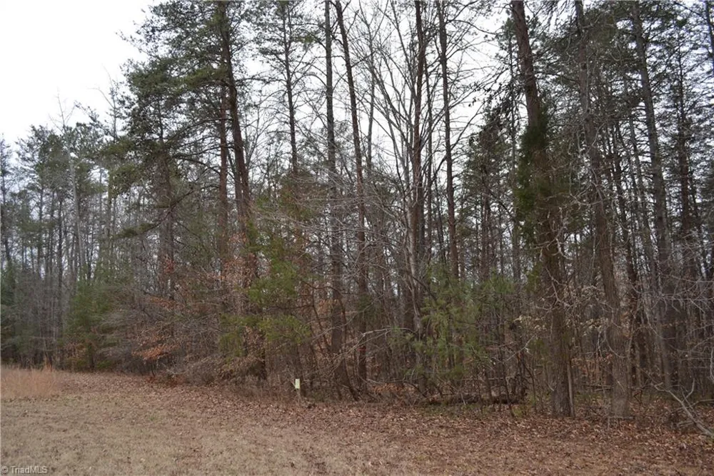 8.6 Acres Davie Lane Madison, NC 27025