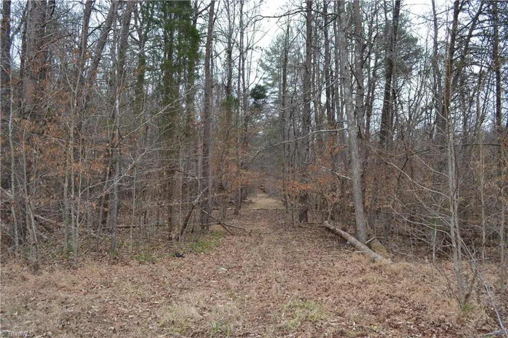 8.6 Acres Davie Lane Madison, NC 27025