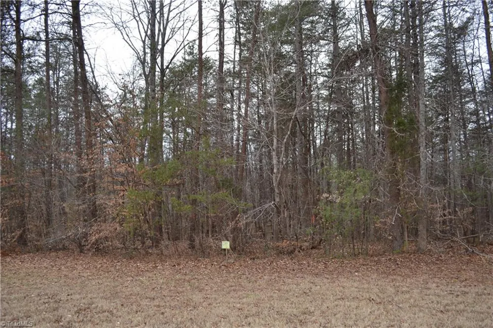 8.6 Acres Davie Lane Madison, NC 27025