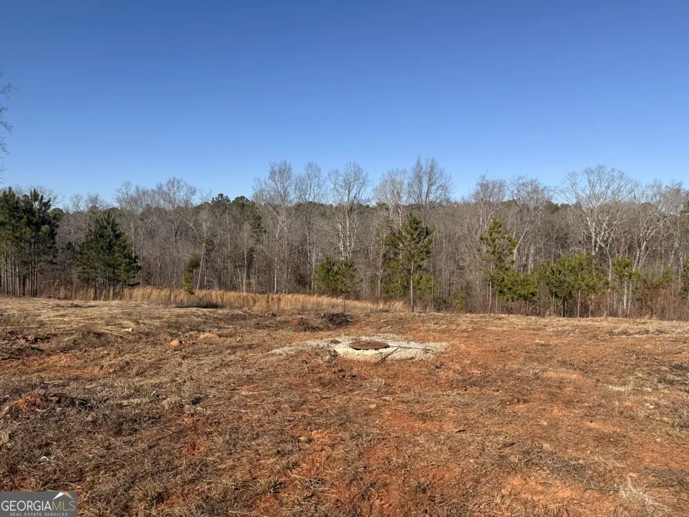 3445 Silas Mercer RD NE Crawfordville, GA 30631