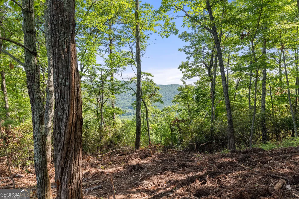 347 Highlands DR Clarkesville, GA 30523