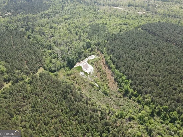 0 Sardis Church RD Kite, GA 31049