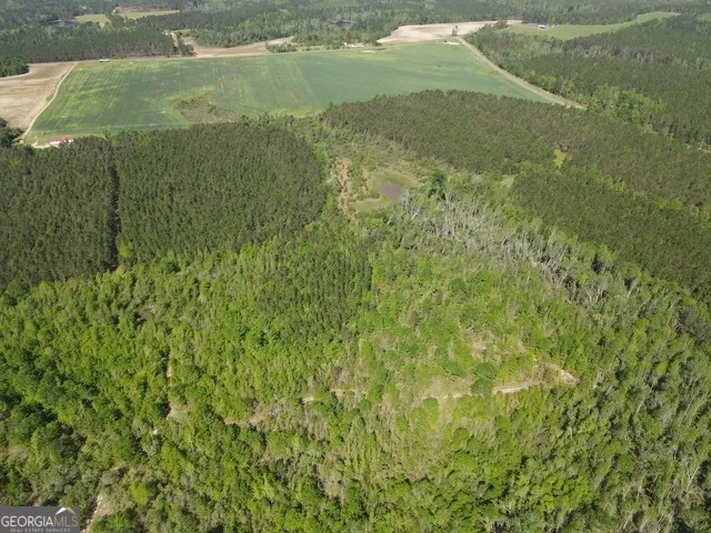 0 Sardis Church RD Kite, GA 31049