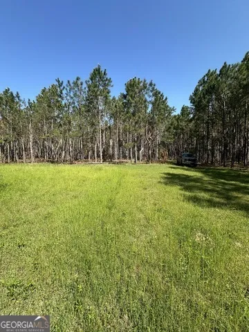 0 Sardis Church RD Kite, GA 31049