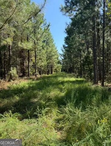 0 Sardis Church RD Kite, GA 31049
