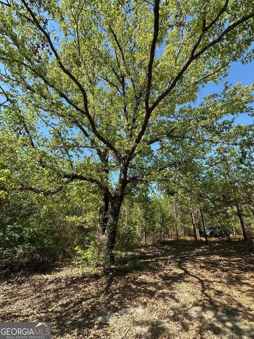 0 Sardis Church RD Kite, GA 31049