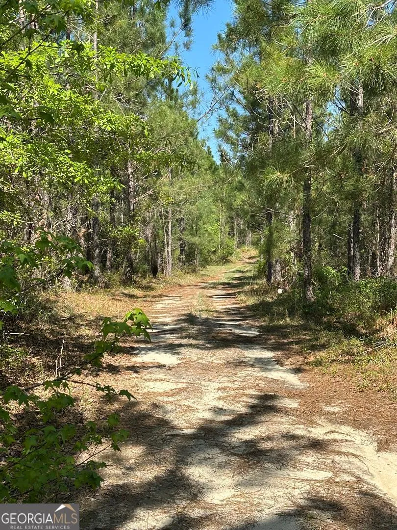 0 Sardis Church RD Kite, GA 31049