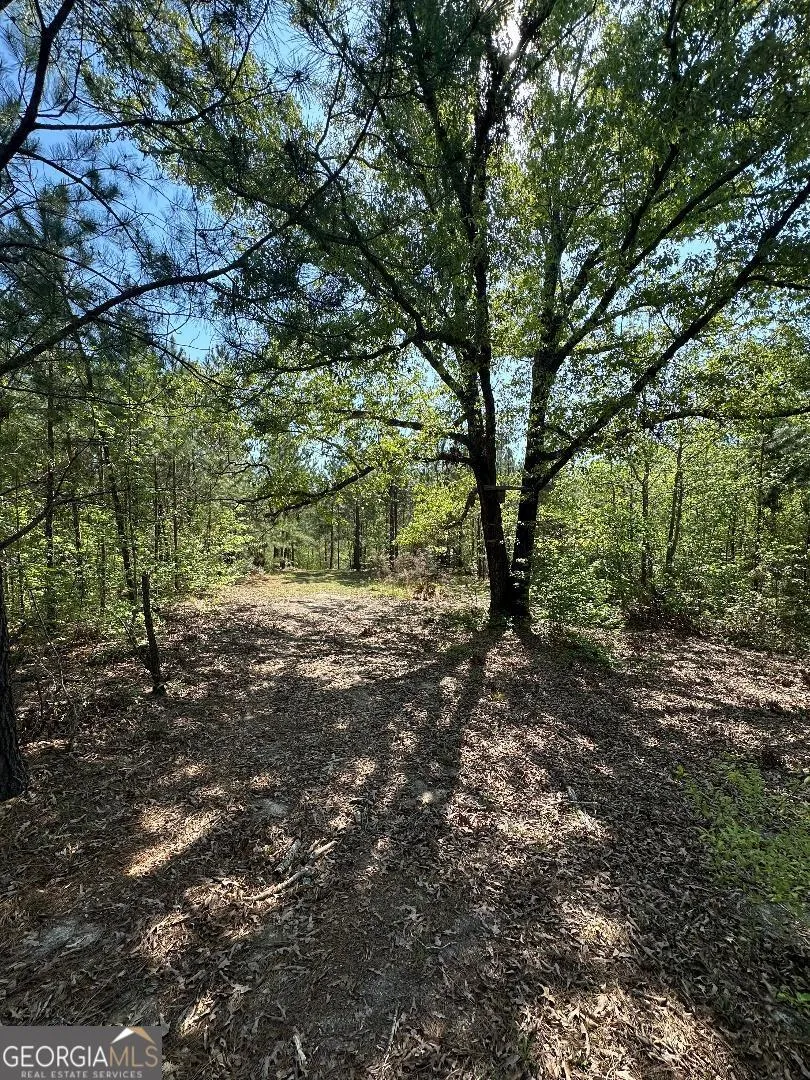 0 Sardis Church RD Kite, GA 31049