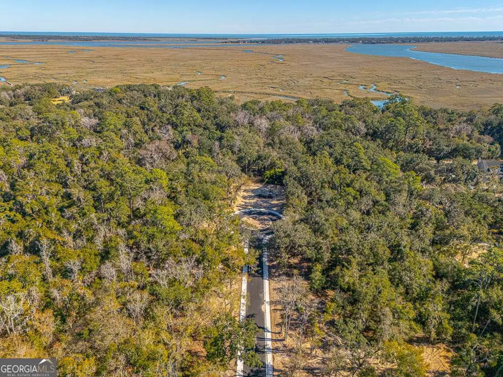 129 Canopy LN St. Simons, GA 31522