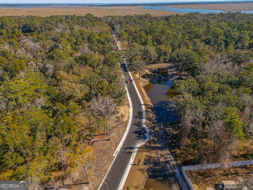 131 Canopy LN St. Simons, GA 31522