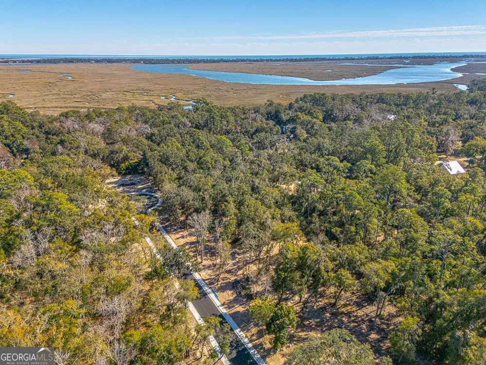 131 Canopy LN St. Simons, GA 31522