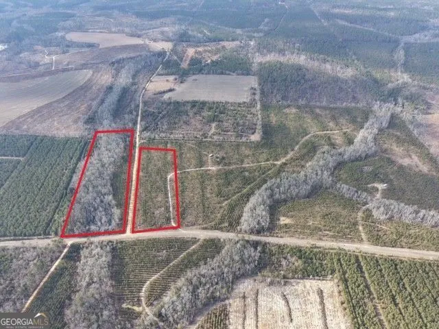 2 Powell School RD Lumber City, GA 31549