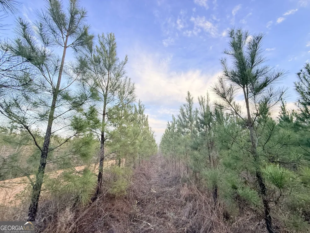2 Powell School RD Lumber City, GA 31549