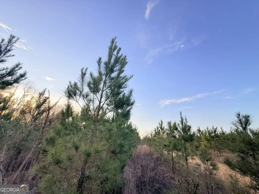 2 Powell School RD Lumber City, GA 31549
