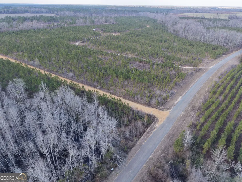 2 Powell School RD Lumber City, GA 31549