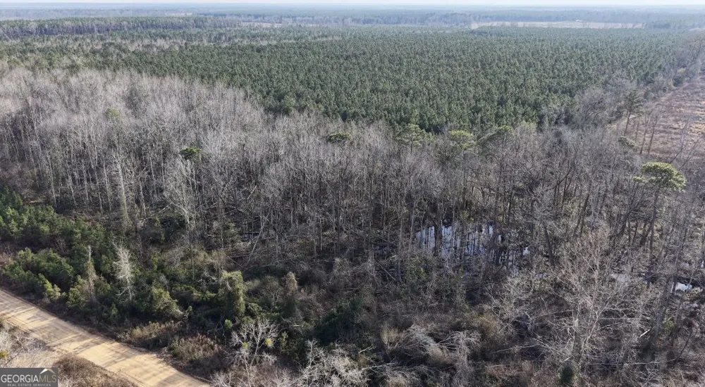 2 Powell School RD Lumber City, GA 31549