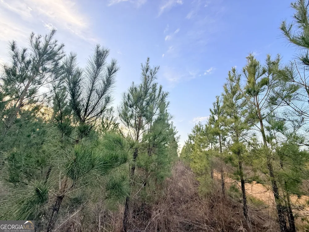2 Powell School RD Lumber City, GA 31549