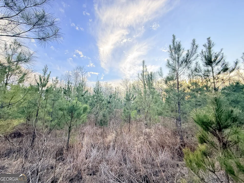 2 Powell School RD Lumber City, GA 31549