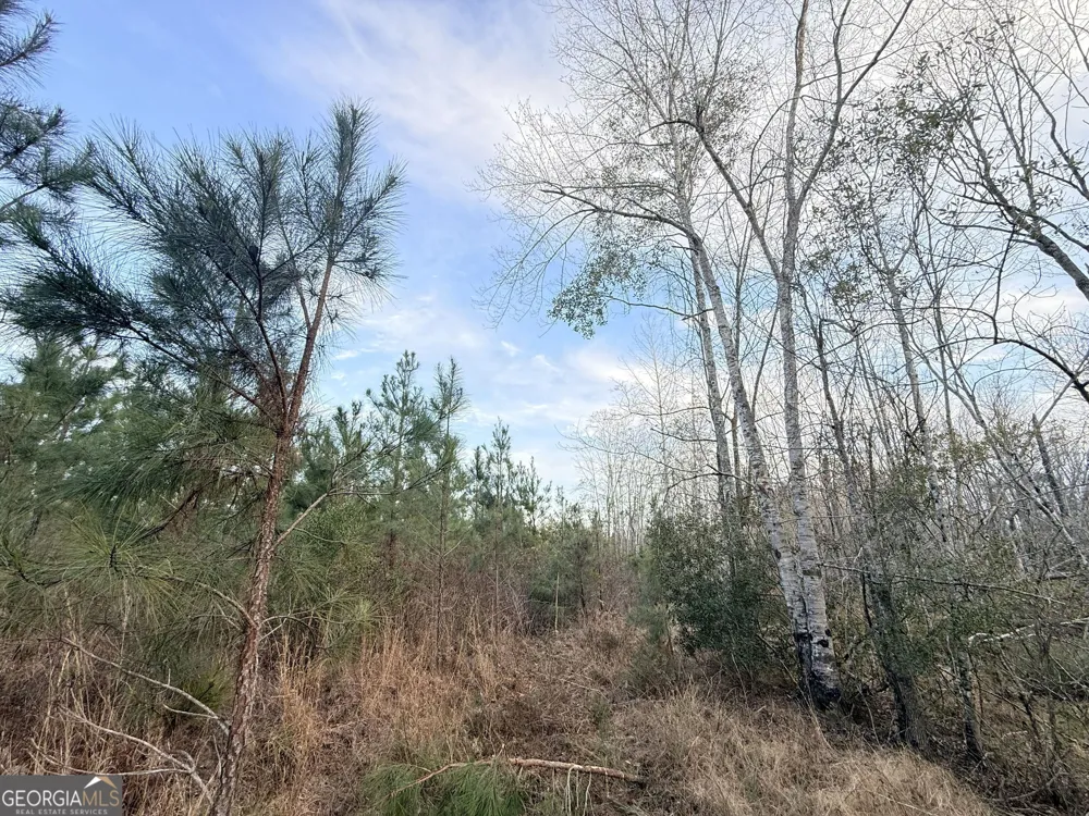 2 Powell School RD Lumber City, GA 31549