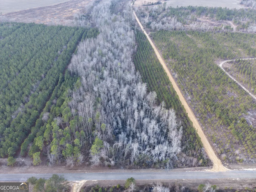 2 Powell School RD Lumber City, GA 31549