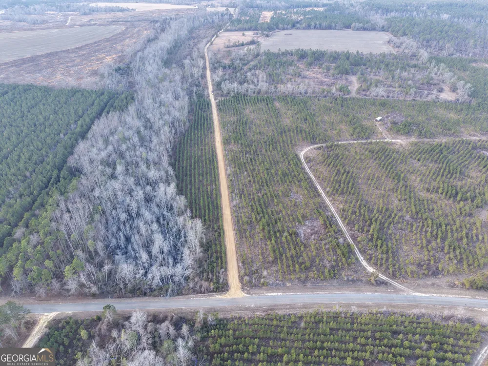 2 Powell School RD Lumber City, GA 31549